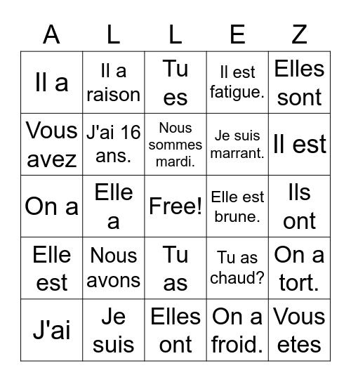 French II  Avoir et ETRE Bingo Card