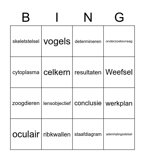 Havo 1, begrippenbingo Card