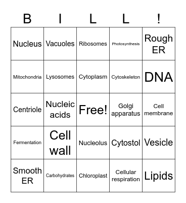 Science Bingo Card