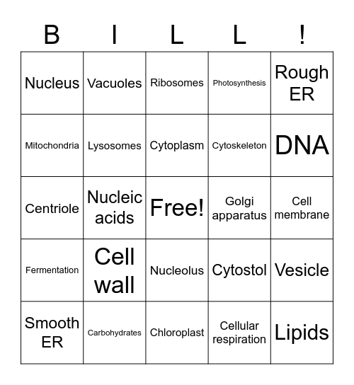 Science Bingo Card