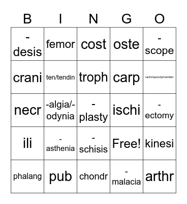 Skeletal System BML Bingo Card