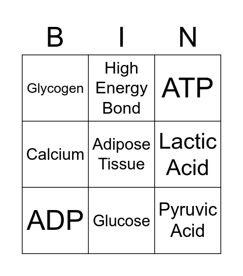 Anaerobic Energy Systems Bingo Card
