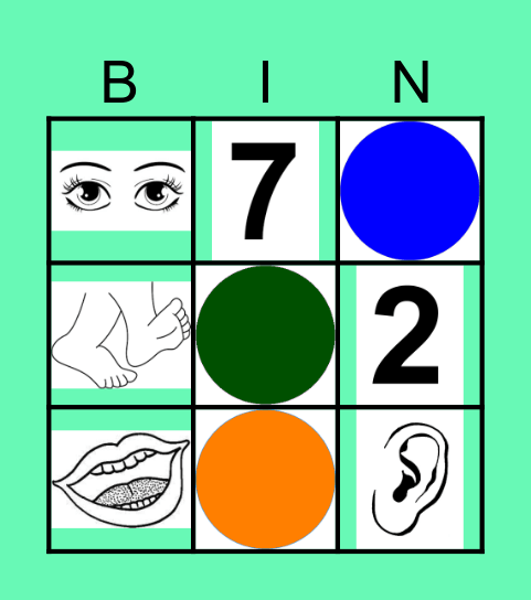 K.U2 Numeros, colores, cuerpo Bingo Card