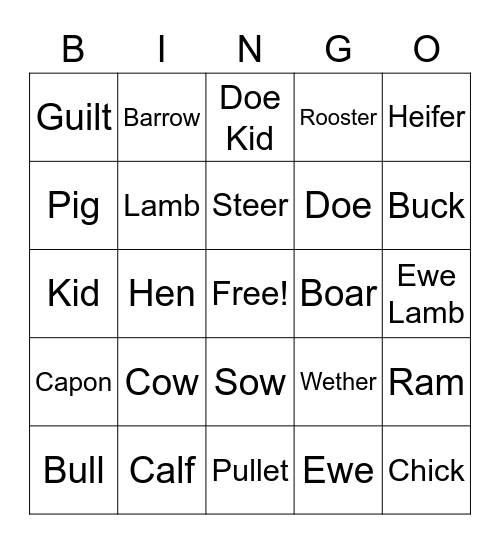 Livestock Terms Bingo Card