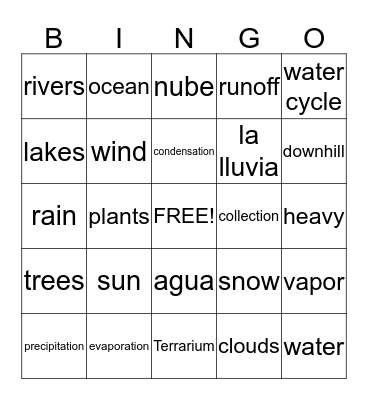 Water Cycle BIngo Card