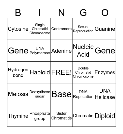 DNA & Meiosis Bingo Card