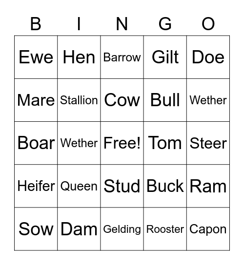 Animal Breed/Gender Names Bingo Card