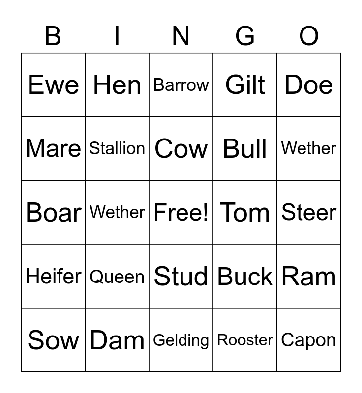 Animal Breed/Gender Names Bingo Card