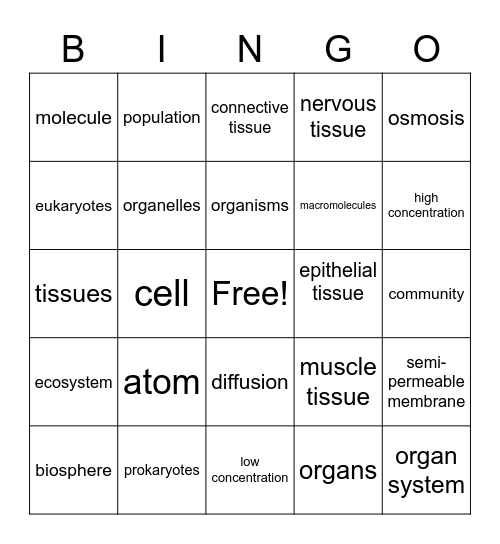 Levels of Organization II Bingo Card