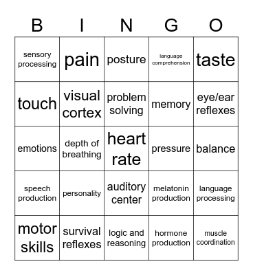 Brainiac Bingo Card