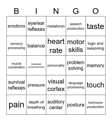 Brainiac Bingo Card