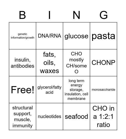 Macromolecules Bingo Card
