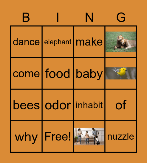 Lesson 7 Vocabulary Bingo Card