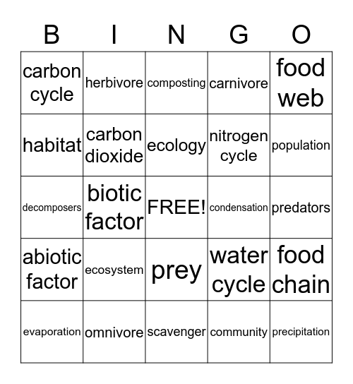 Ch. 4 Science Bingo Card