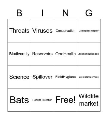 Bat Conservation and World Health Bingo Card