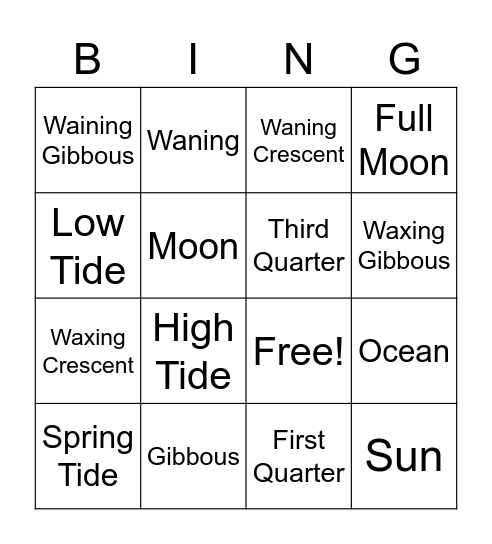 Phases of the Moon and Tides Bingo Card