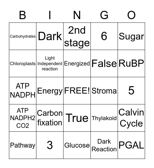 Calvin Cycle  Bingo Card