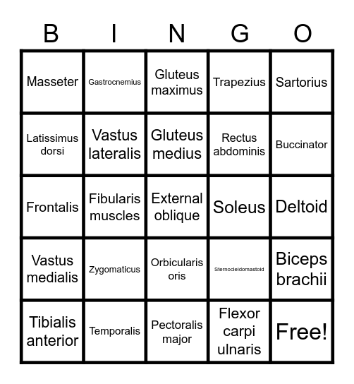 MUSCLE BINGO Card