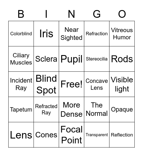 Vision and the Eye Review Bingo Card