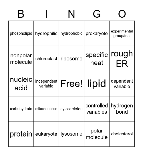 Bio-Bingo! Bingo Card