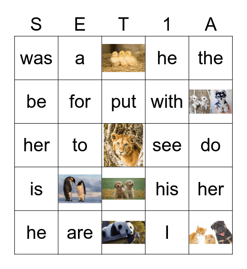 Sight Words Bingo Card