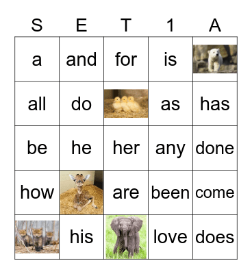 Sight Words Bingo Card
