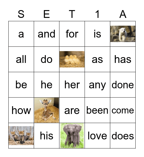Sight Words Bingo Card