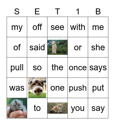 Sight Words Bingo Card