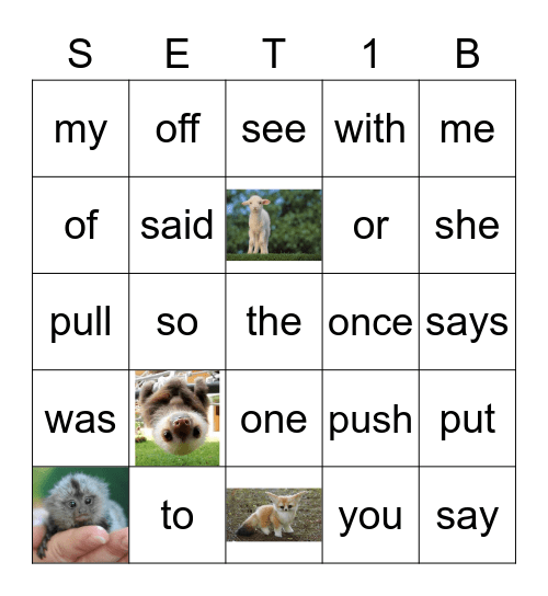 Sight Words Bingo Card
