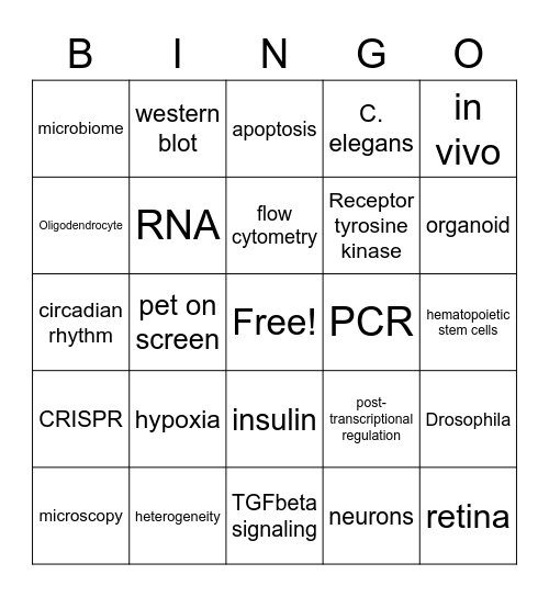 Retreat Bingo Card