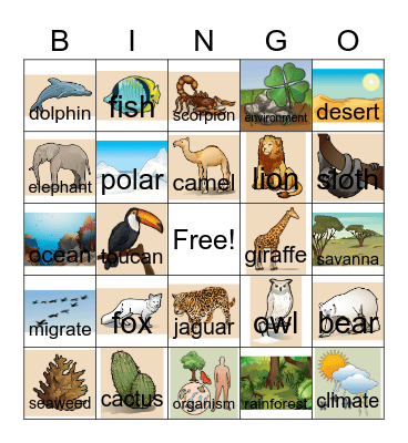Environments Bingo with Pictures Bingo Card