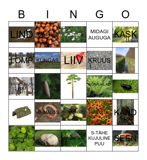 MARGE2 Bingo Card
