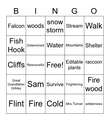 My side of the Mountain Bingo Card