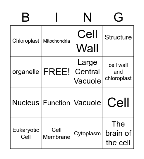 Plant and Animal Cell Structure Bingo Card