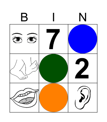 Grades K, 1 colors, body parts, #s Bingo Card