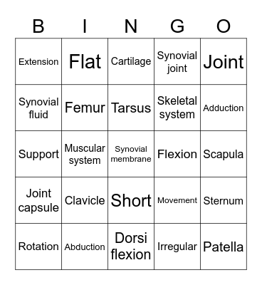 Skeletal System Bingo Card