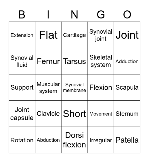 Skeletal System Bingo Card