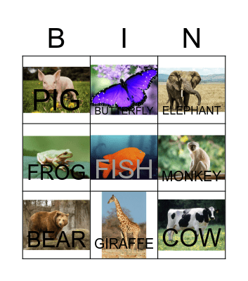 KINDER - animals Bingo Card