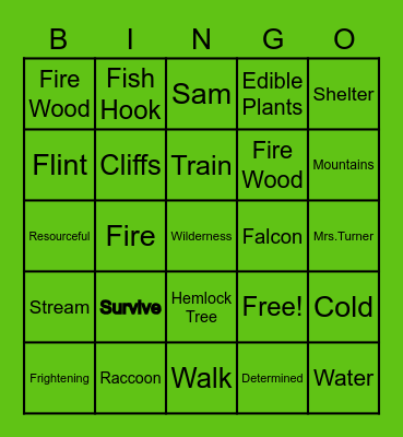 My Side of the Mountain Bingo Card