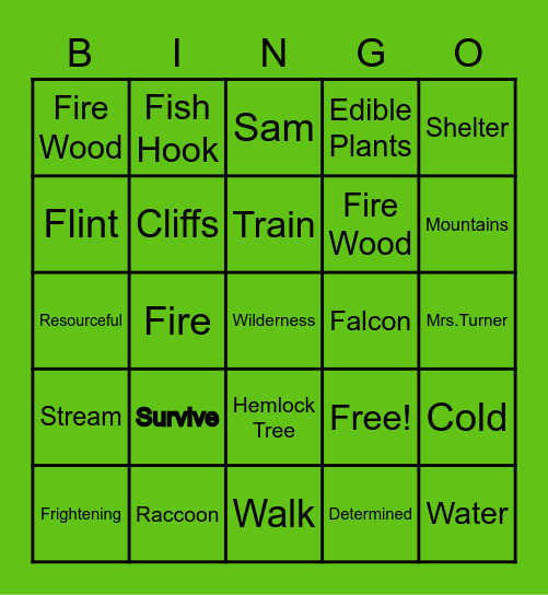 My Side of the Mountain Bingo Card