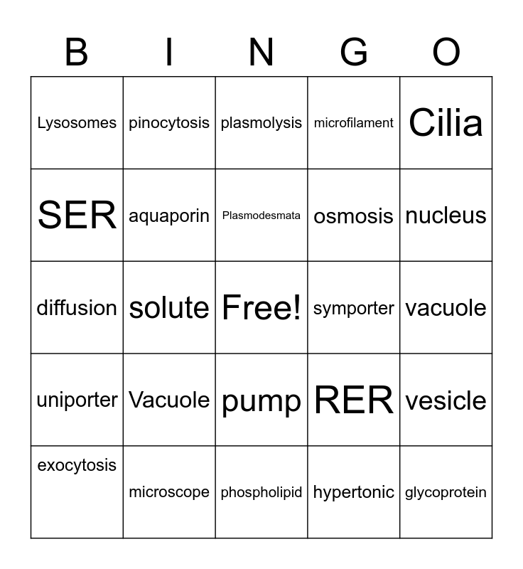 Chapter 4 & 5 Vocab Bingo Card