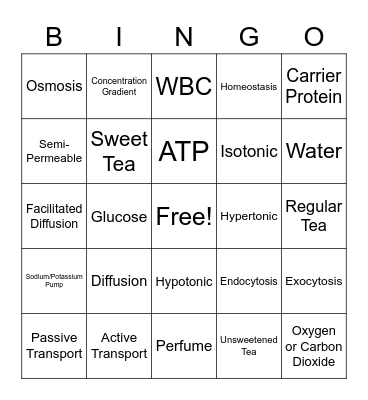 Cell Transport Bingo Card