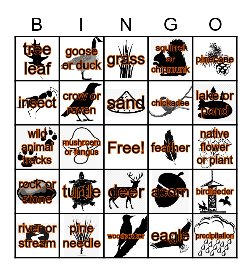 Northwoods Wildlife Center Fall Bingo Card