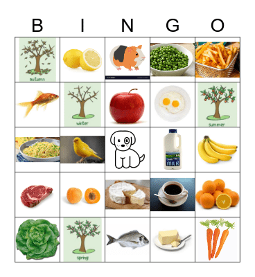 Vocabulary Bingo Card