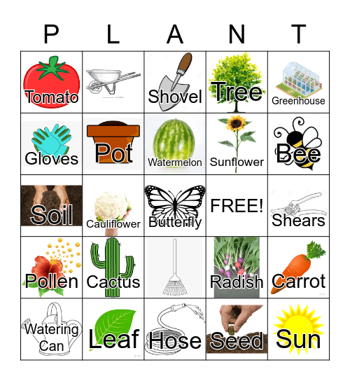 Plants Bingo Card