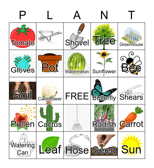 Plants Bingo Card