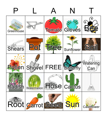 Plants Bingo Card