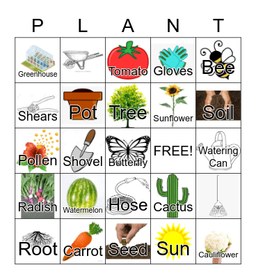 Plants Bingo Card