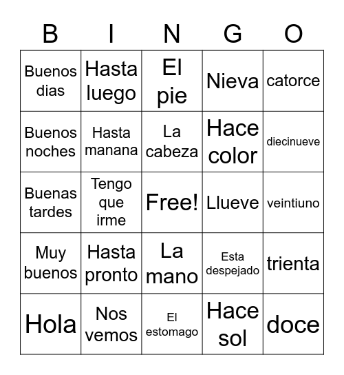Spanish 1 Test Review Bingo Card