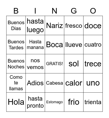 Spanish test 1 Bingo Card